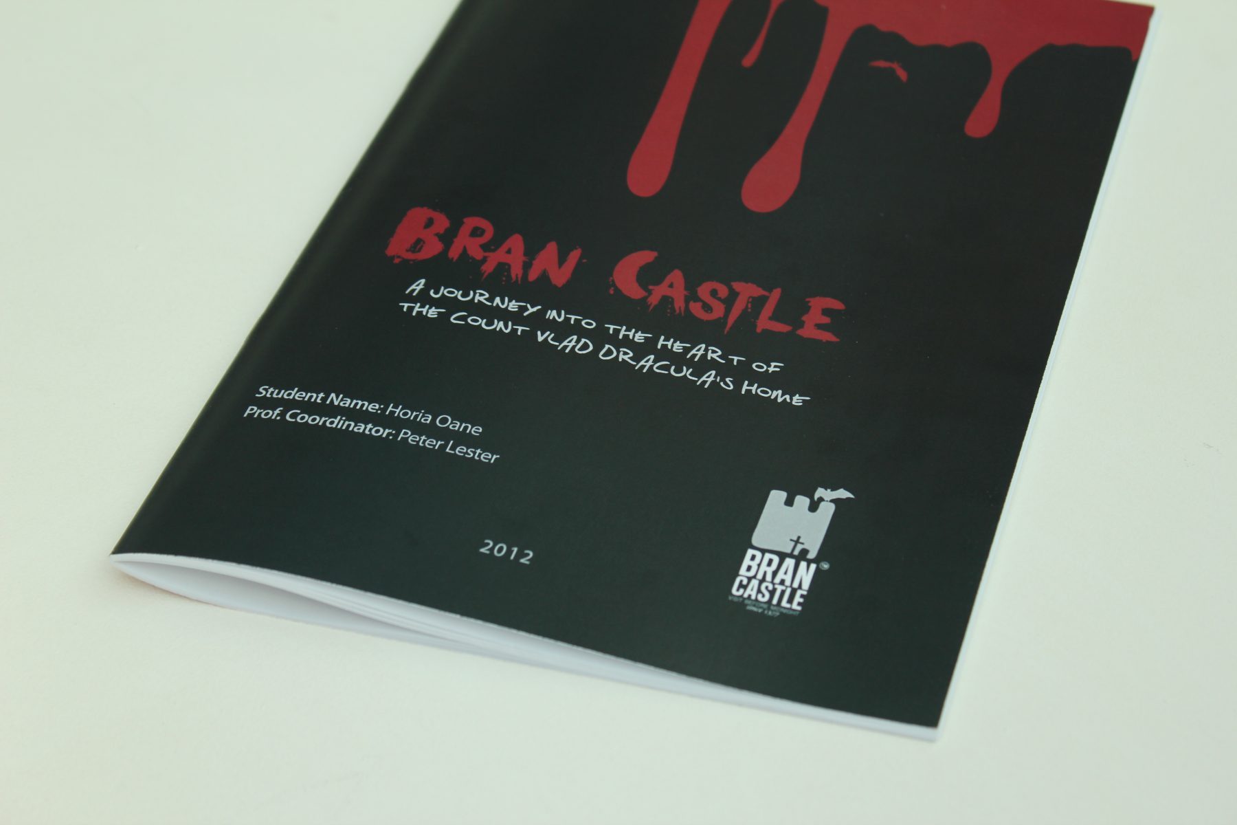 Brand Castle -Brand Manual