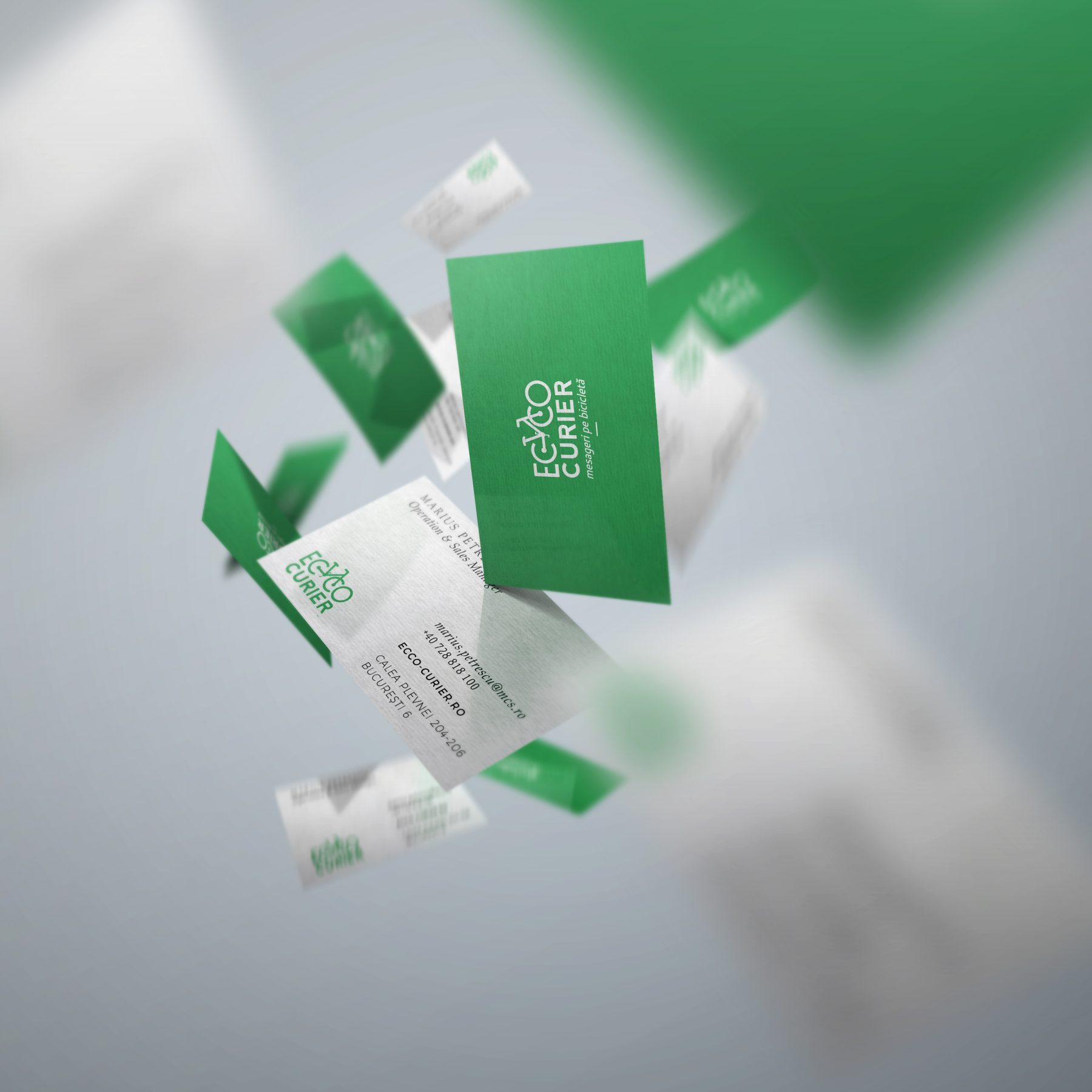 Ecco Curier Business Cards Design