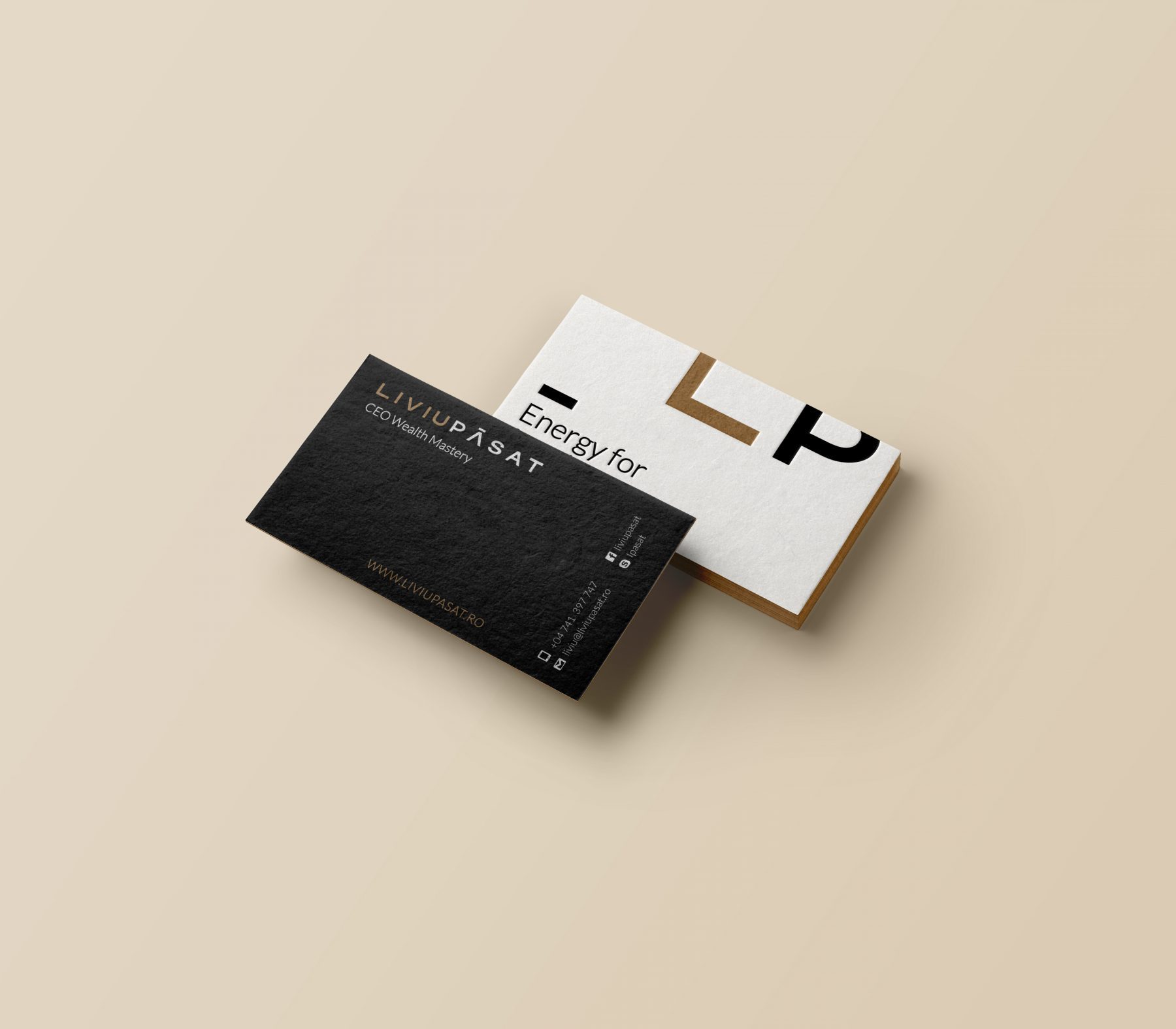 Liviu Pasat Business Cards Design