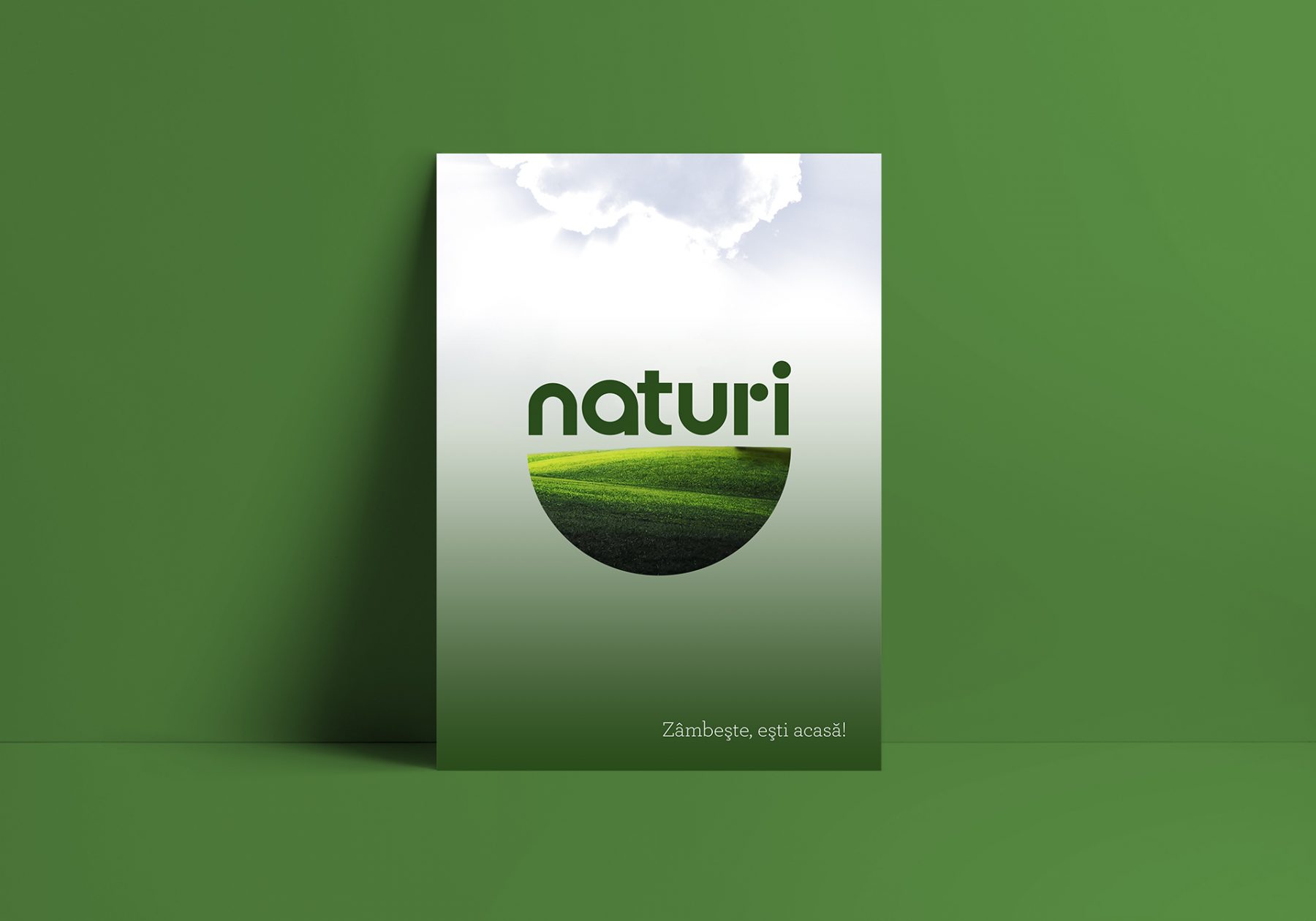 Naturi Logo Poster Design