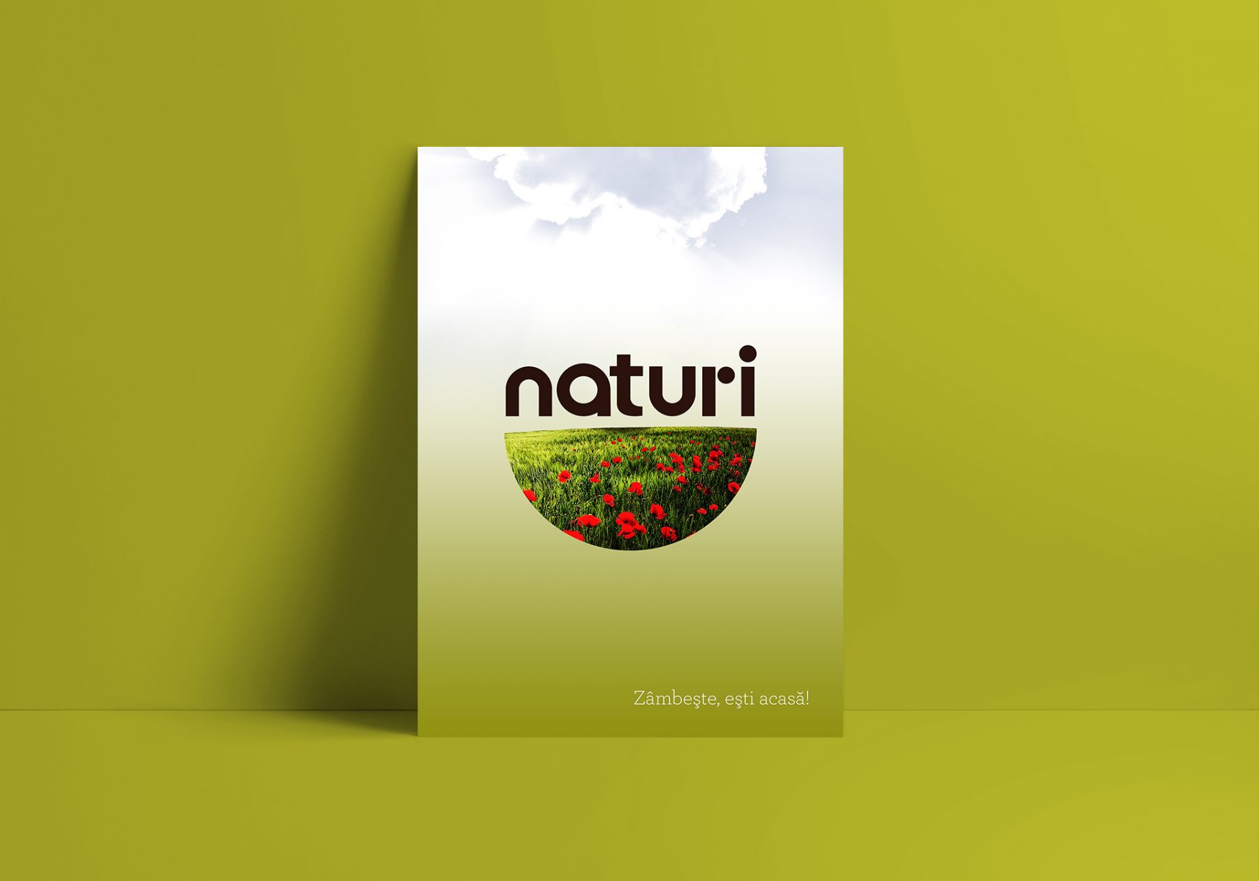 Naturi Logo Poster Design