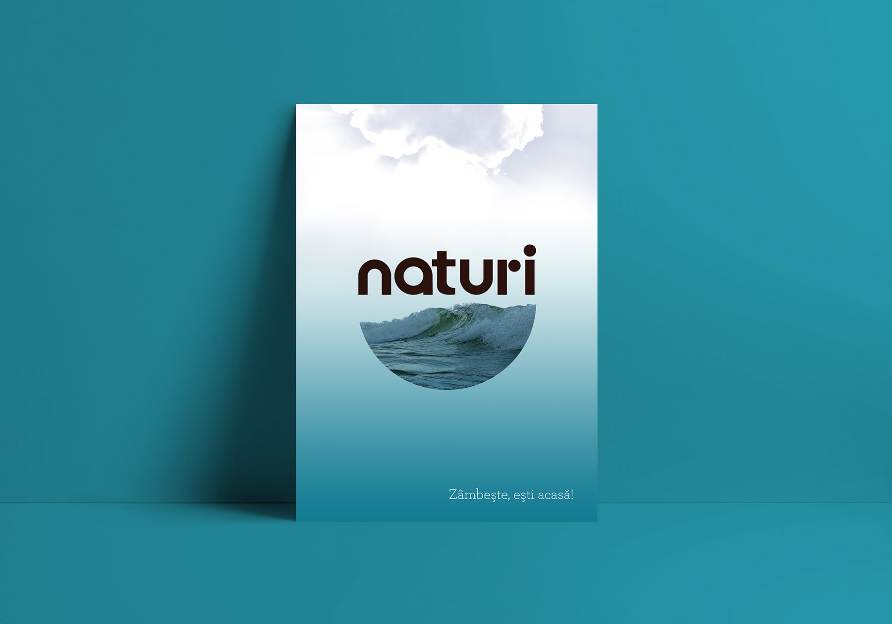 Naturi Logo Poster Design