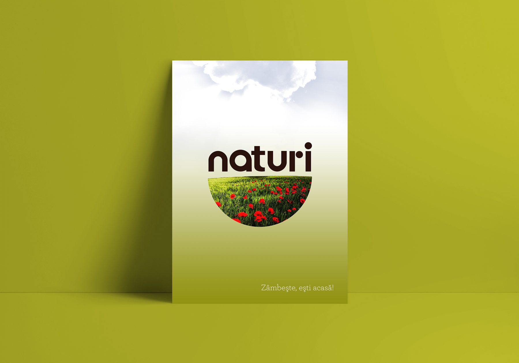design poster Naturi retea magazine Sanovita