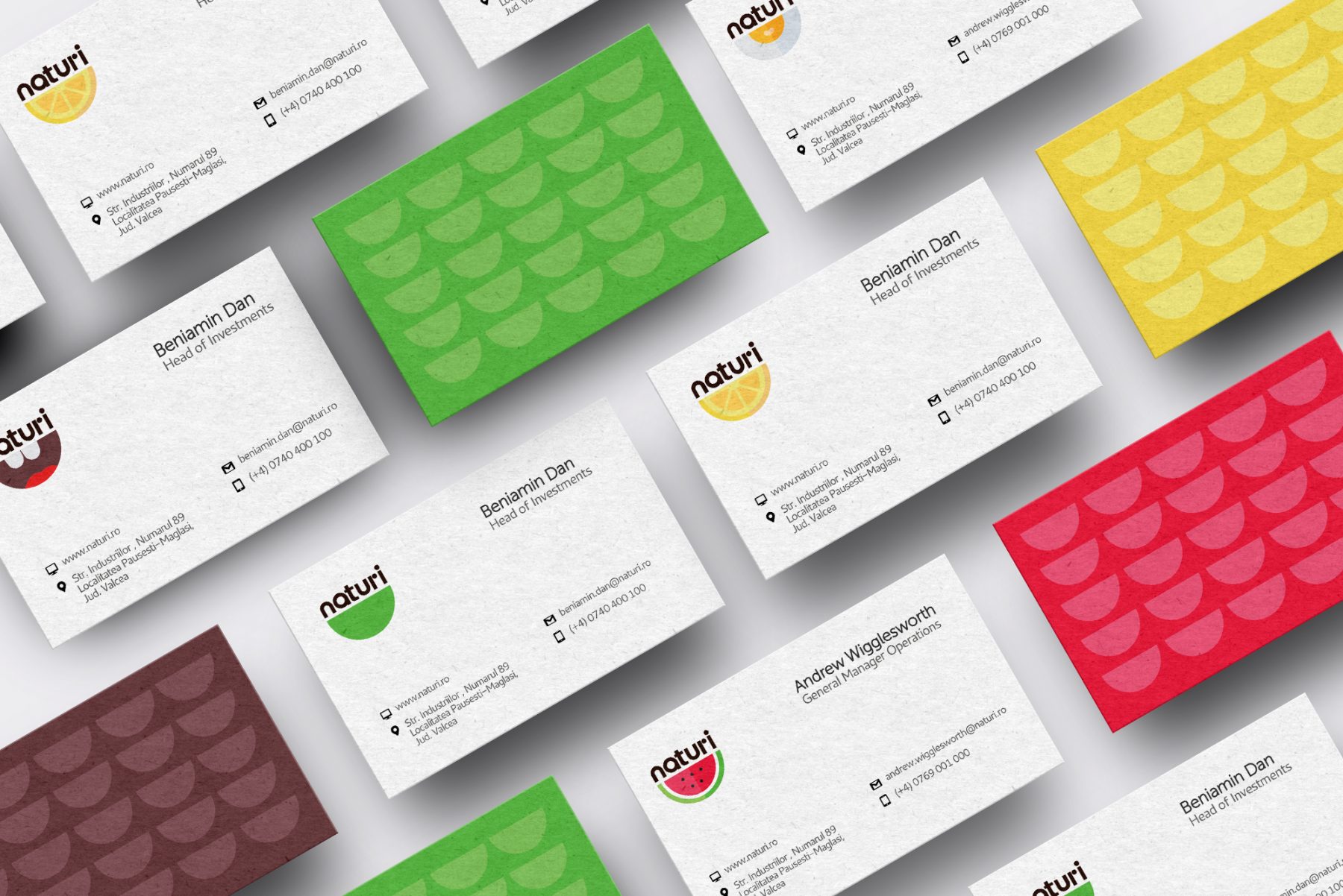 Naturi Business cards design