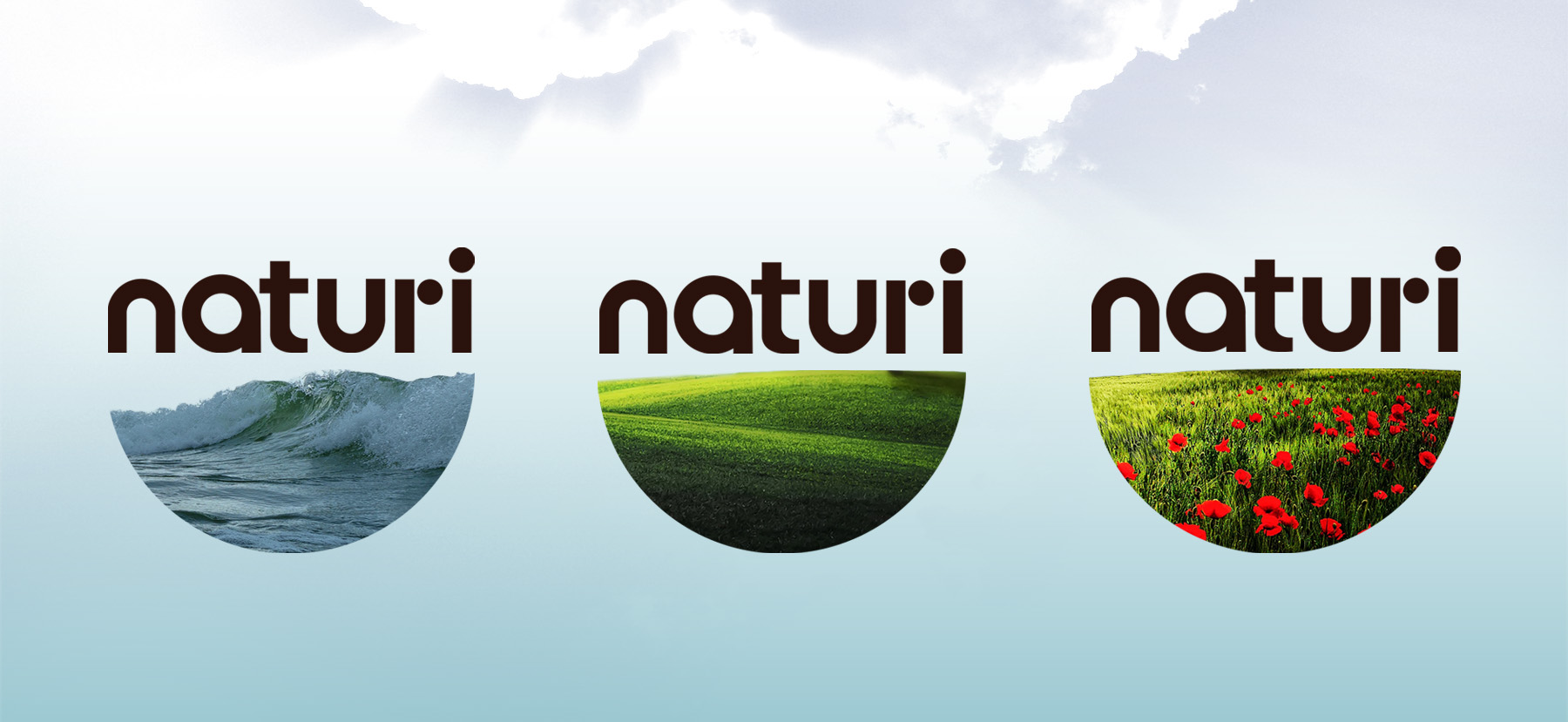 naturi sanovita logo design brohouse