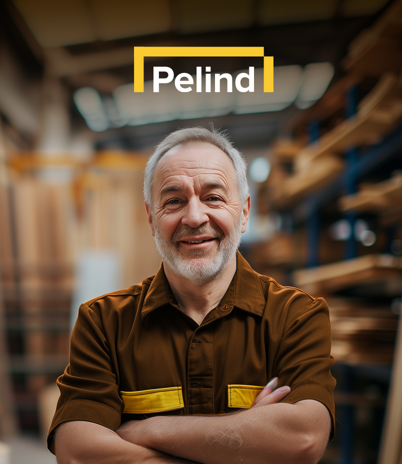 pelind bricolaj rebranding