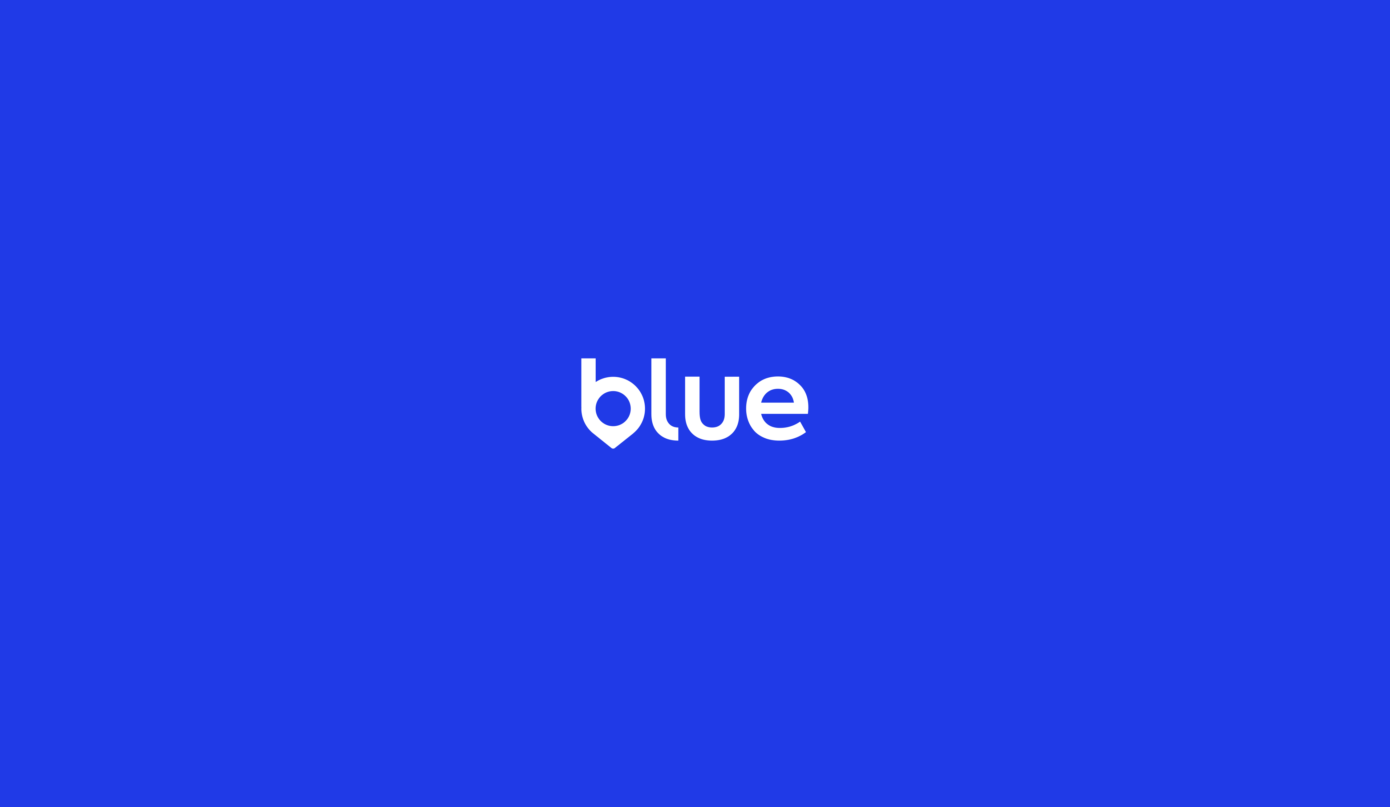 Blue logo identity