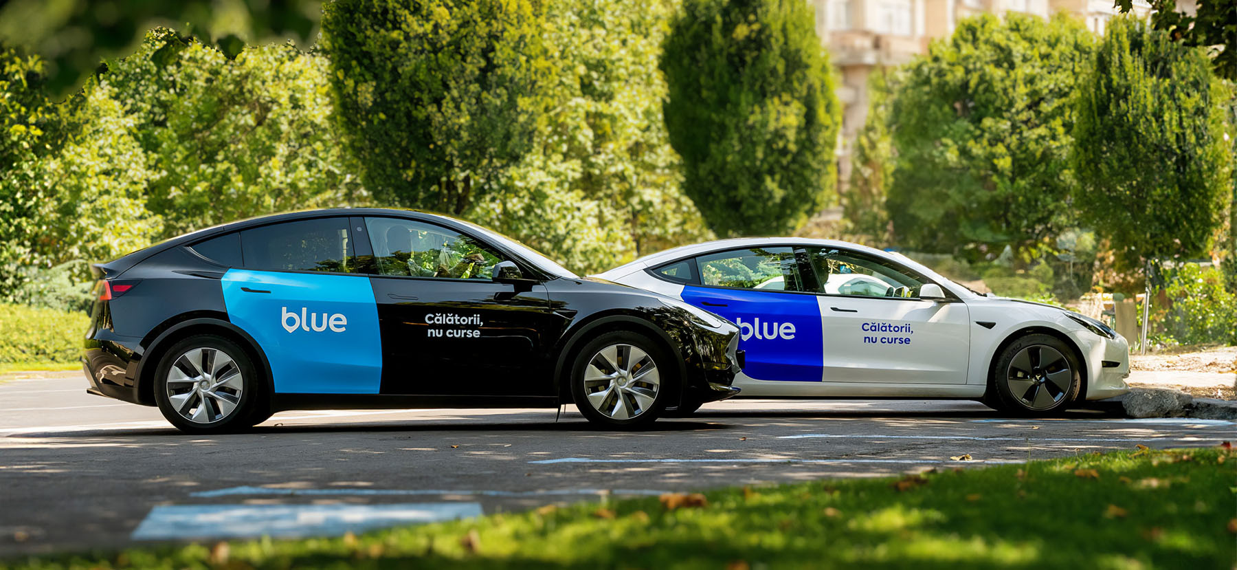 Blue Ride Sharing