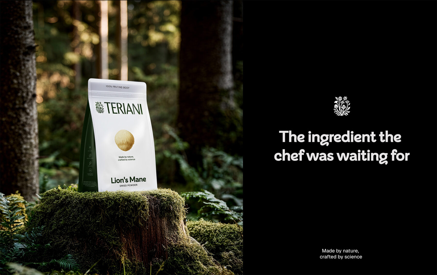 Teriani Lion's Mane dried mushroom packaging design pouch.