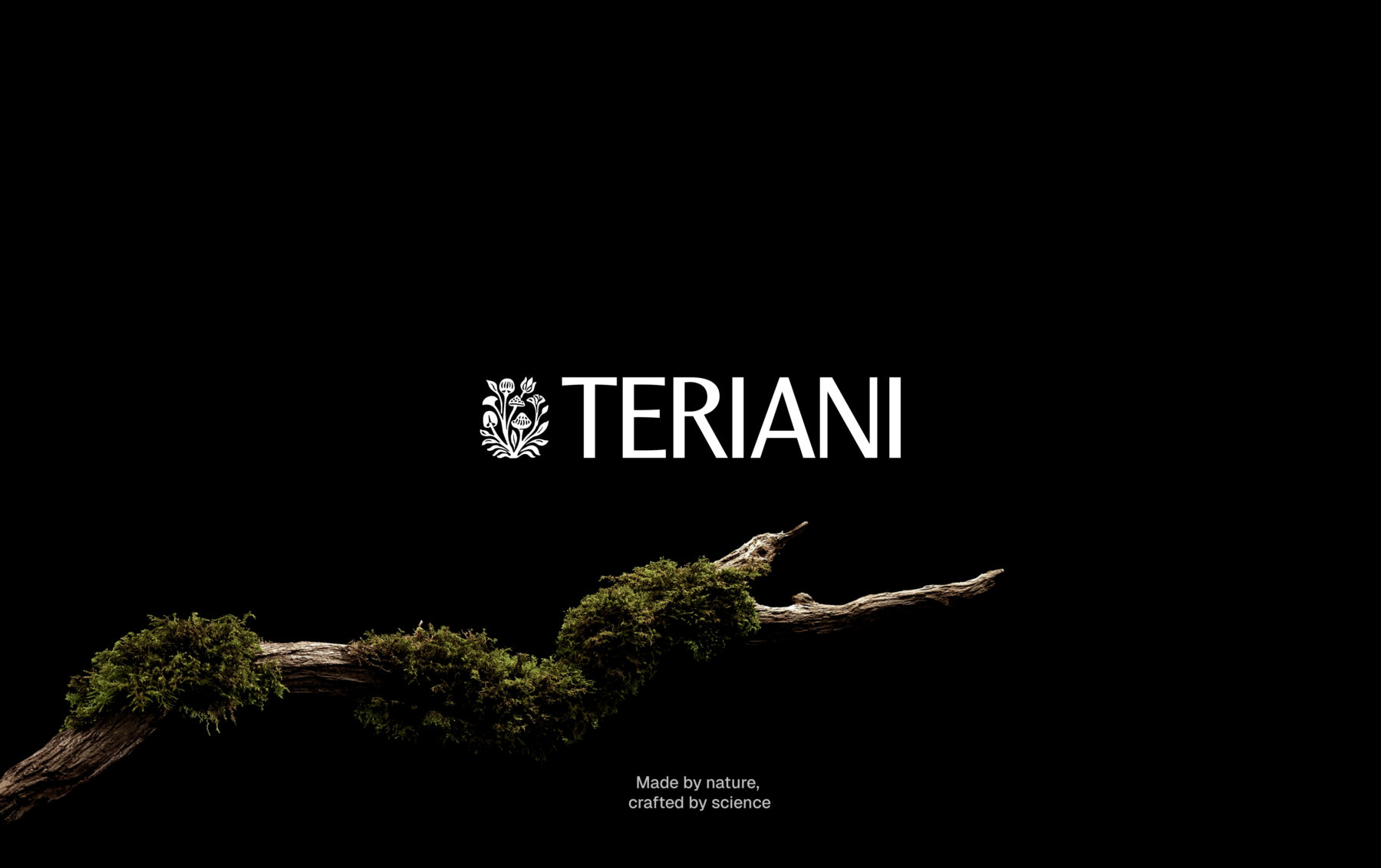 Teriani logo designed by BroHouse Branding Agency.